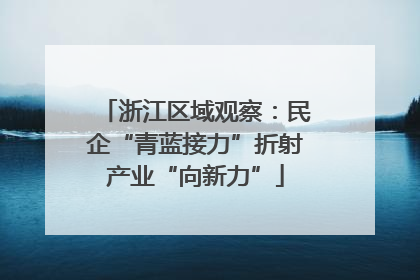 浙江区域观察：民企“青蓝接力”折射产业“向新力”