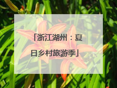 浙江湖州：夏日乡村旅游季