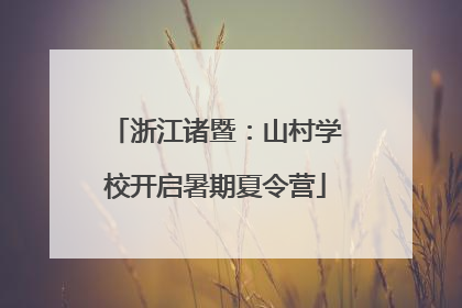 浙江诸暨：山村学校开启暑期夏令营
