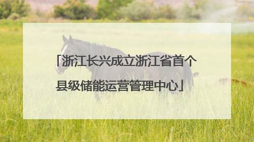 浙江长兴成立浙江省首个县级储能运营管理中心