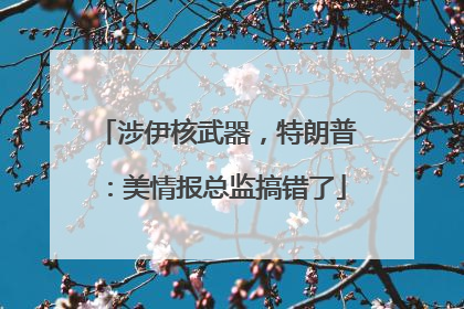 涉伊核武器，特朗普：美情报总监搞错了