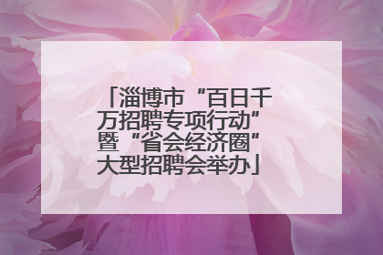 淄博市“百日千万招聘专项行动”暨“省会经济圈”大型招聘会举办