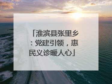 淮滨县张里乡：党建引领，惠民义诊暖人心