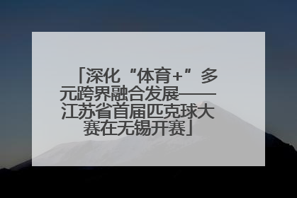 深化“体育+”多元跨界融合发展——江苏省首届匹克球大赛在无锡开赛