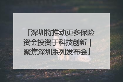 深圳将推动更多保险资金投资于科技创新｜聚焦深圳系列发布会