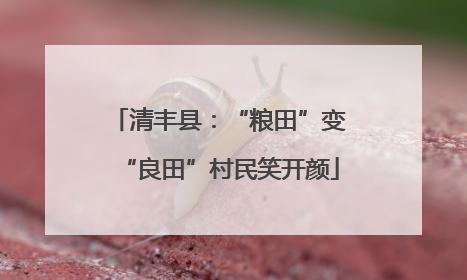 清丰县：“粮田”变“良田”村民笑开颜