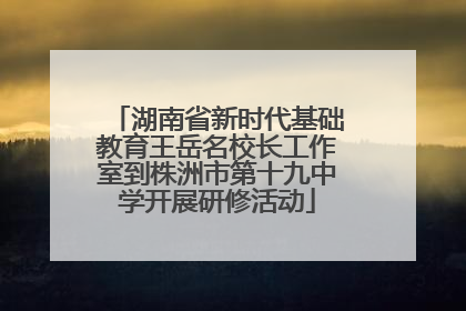 湖南省新时代基础教育王岳名校长工作室到株洲市第十九中学开展研修活动