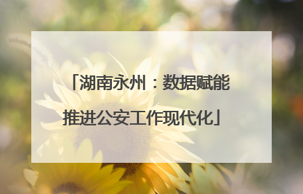 湖南永州：数据赋能推进公安工作现代化