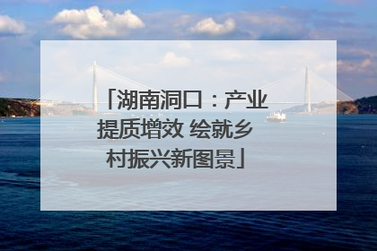 湖南洞口：产业提质增效 绘就乡村振兴新图景