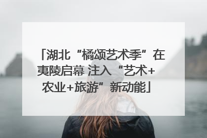 湖北“橘颂艺术季”在夷陵启幕 注入“艺术+农业+旅游”新动能