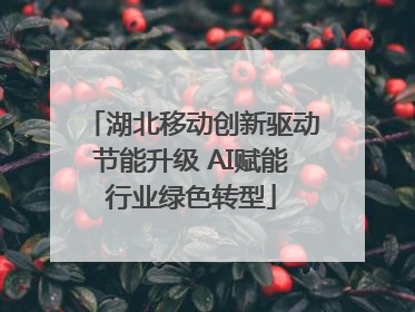 湖北移动创新驱动节能升级 AI赋能行业绿色转型