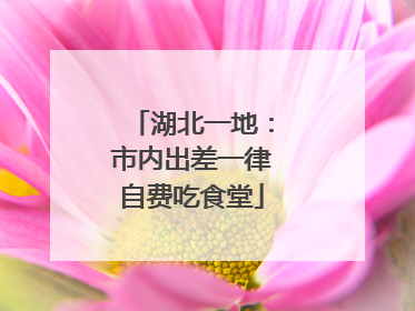 湖北一地：市内出差一律自费吃食堂