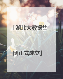 湖北大数据集团正式成立