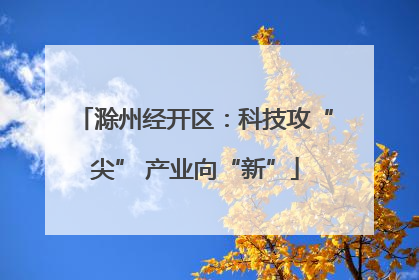 滁州经开区：科技攻“尖” 产业向“新”