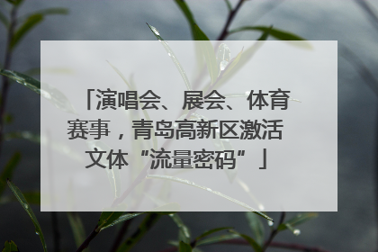 演唱会、展会、体育赛事，青岛高新区激活文体“流量密码”