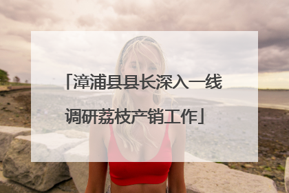漳浦县县长深入一线调研荔枝产销工作