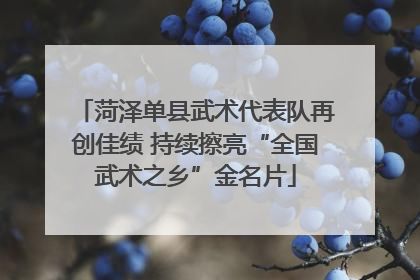 菏泽单县武术代表队再创佳绩 持续擦亮“全国武术之乡”金名片