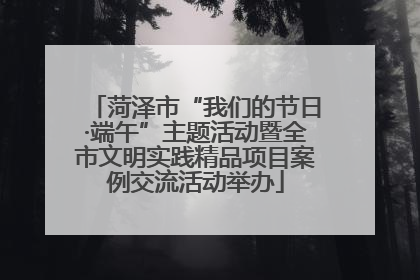 菏泽市“我们的节日·端午”主题活动暨全市文明实践精品项目案例交流活动举办