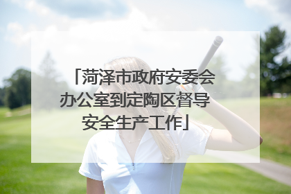 菏泽市政府安委会办公室到定陶区督导安全生产工作