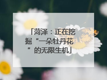 菏泽：正在挖掘“一朵牡丹花”的无限生机