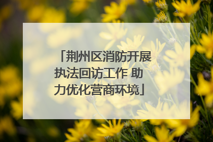 荆州区消防开展执法回访工作 助力优化营商环境
