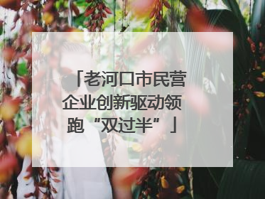老河口市民营企业创新驱动领跑“双过半”