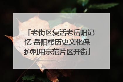 老街区复活老岳阳记忆 岳阳楼历史文化保护利用示范片区开街