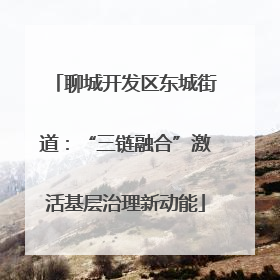 聊城开发区东城街道：“三链融合”激活基层治理新动能