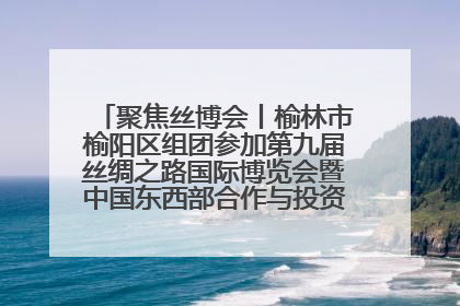 聚焦丝博会丨榆林市榆阳区组团参加第九届丝绸之路国际博览会暨中国东西部合作与投资贸易洽谈会