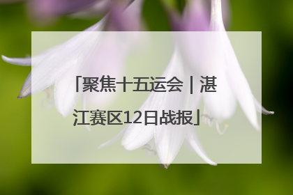 聚焦十五运会｜湛江赛区12日战报