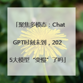 聚焦多模态：ChatGPT时刻未到，2025大模型“变慢”了吗