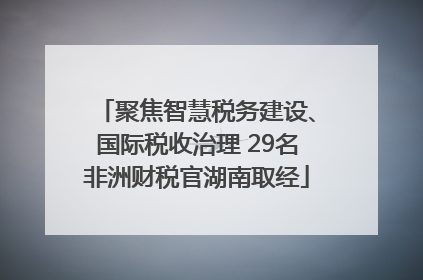 聚焦智慧税务建设、国际税收治理 29名非洲财税官湖南取经