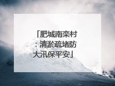 肥城南栾村：清淤疏堵防大汛保平安