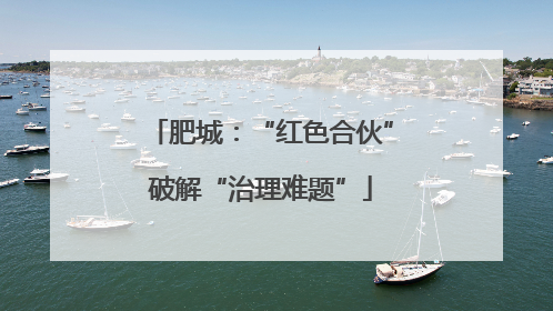 肥城：“红色合伙”破解“治理难题”