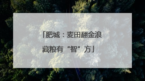 肥城：麦田翻金浪藏粮有“智”方