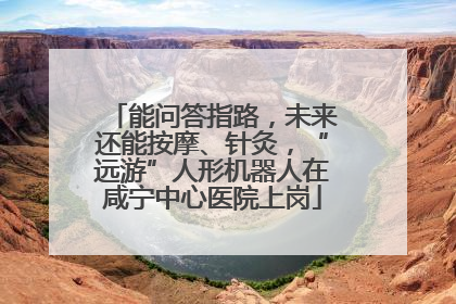 能问答指路，未来还能按摩、针灸，“远游”人形机器人在咸宁中心医院上岗