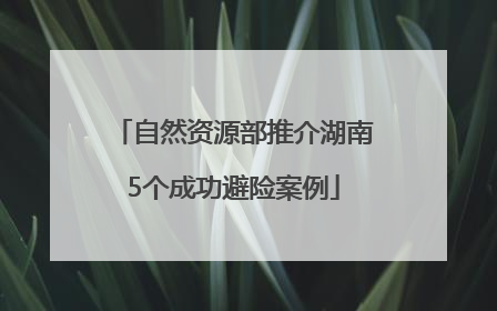自然资源部推介湖南5个成功避险案例