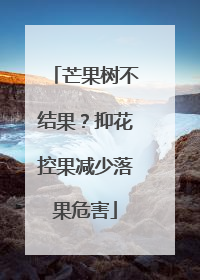 芒果树不结果？抑花控果减少落果危害