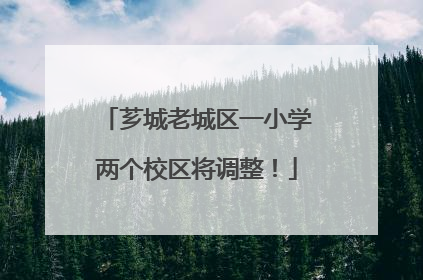 芗城老城区一小学两个校区将调整！