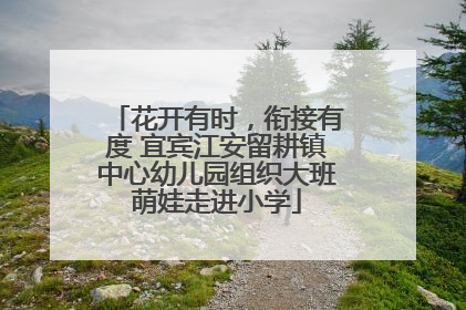 花开有时，衔接有度 宜宾江安留耕镇中心幼儿园组织大班萌娃走进小学