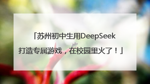 苏州初中生用DeepSeek打造专属游戏，在校园里火了！