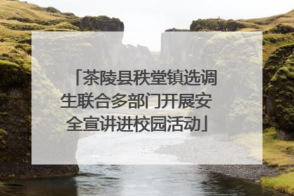 茶陵县秩堂镇选调生联合多部门开展安全宣讲进校园活动