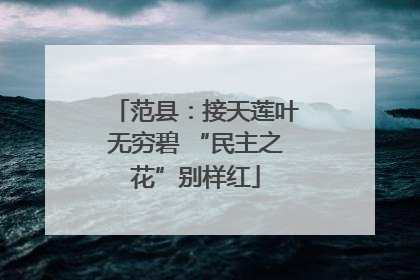 范县：接天莲叶无穷碧 “民主之花”别样红