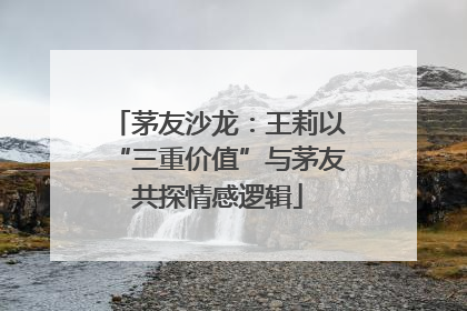 茅友沙龙：王莉以“三重价值”与茅友共探情感逻辑