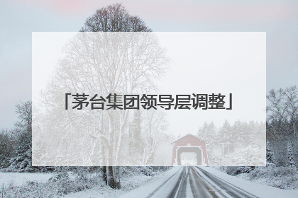 茅台集团领导层调整