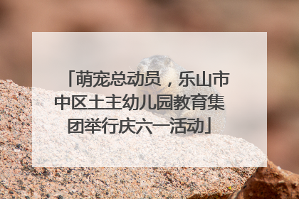 萌宠总动员，乐山市中区土主幼儿园教育集团举行庆六一活动