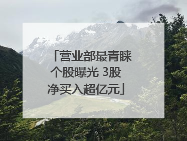 营业部最青睐个股曝光 3股净买入超亿元
