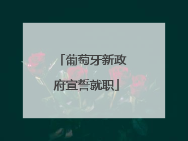葡萄牙新政府宣誓就职