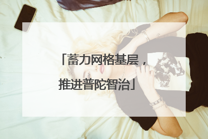 蓄力网格基层，推进普陀智治