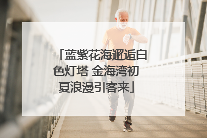 蓝紫花海邂逅白色灯塔 金海湾初夏浪漫引客来